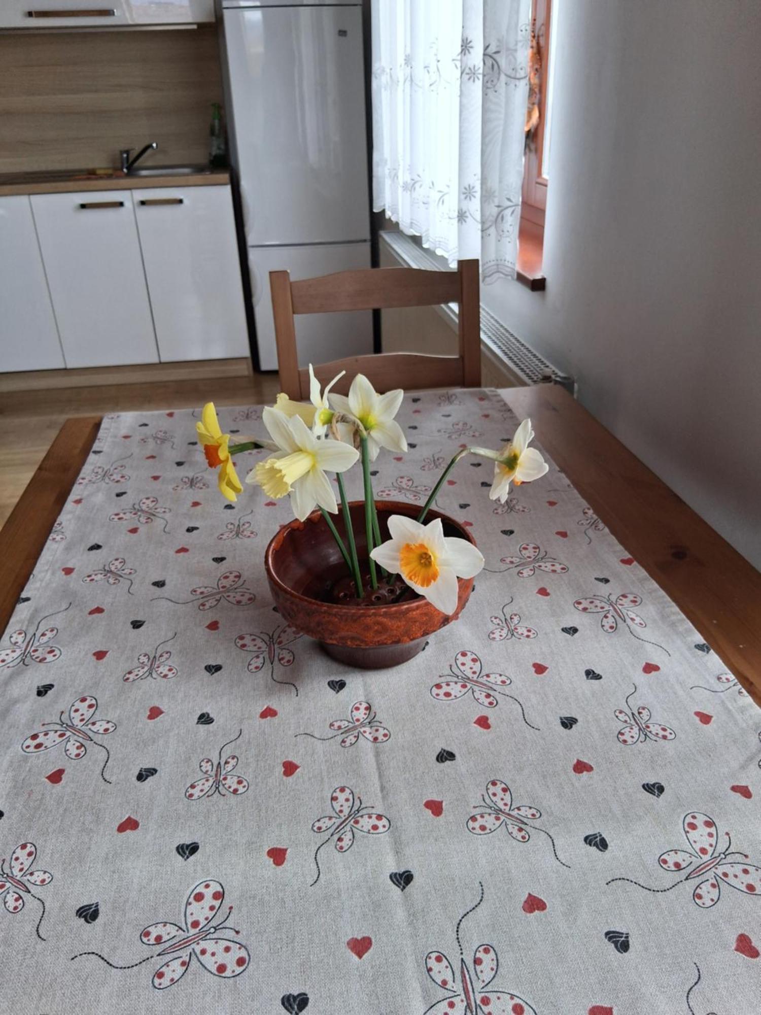 Rooms Apartma Cerknica Εξωτερικό φωτογραφία
